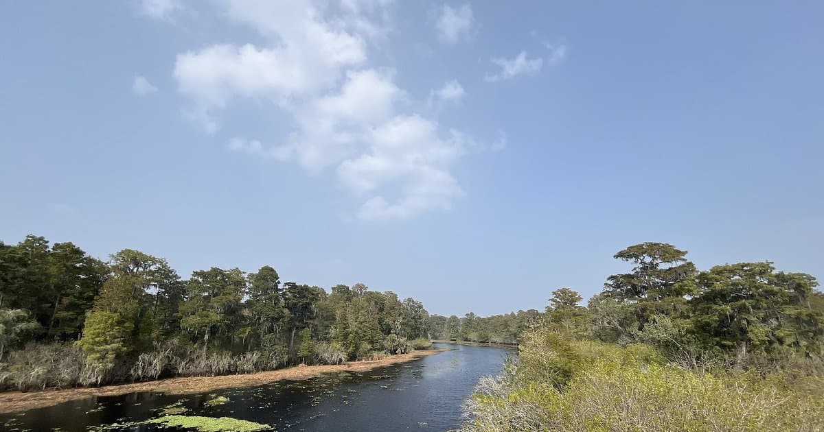 PFAS in NC + SC Water 2026: A Resident's Guide